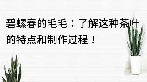 碧螺春的毛毛：了解这种茶叶的特点和制作过程！