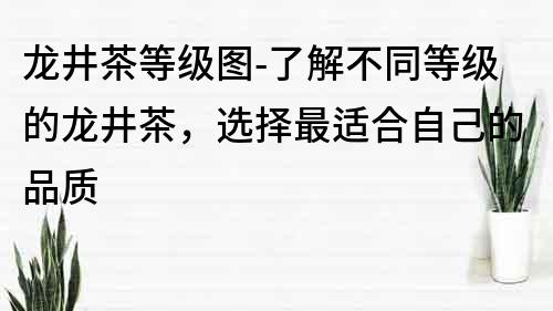 龙井茶等级图-了解不同等级的龙井茶，选择最适合自己的品质