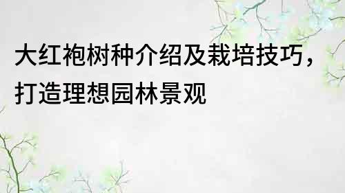 大红袍树种介绍及栽培技巧，打造理想园林景观