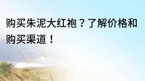 购买朱泥大红袍？了解价格和购买渠道！