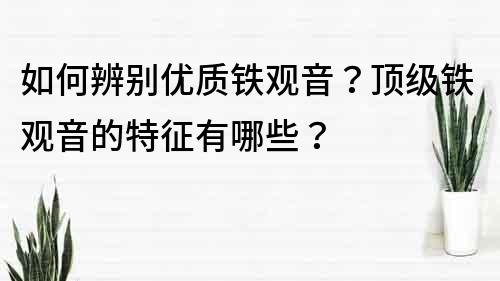 如何辨别优质铁观音？顶级铁观音的特征有哪些？