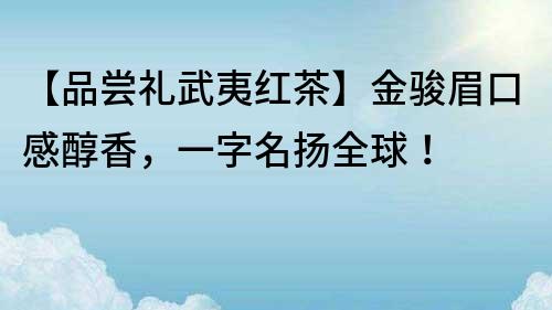 【品尝礼武夷红茶】金骏眉口感醇香，一字名扬全球！