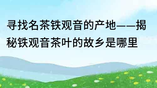 寻找名茶铁观音的产地——揭秘铁观音茶叶的故乡是哪里