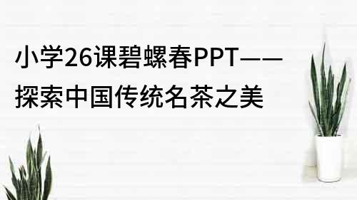 小学26课碧螺春PPT——探索中国传统名茶之美