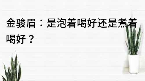 金骏眉：是泡着喝好还是煮着喝好？