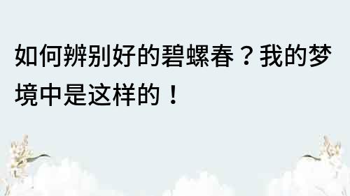 如何辨别好的碧螺春？我的梦境中是这样的！