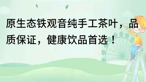 原生态铁观音纯手工茶叶，品质保证，健康饮品首选！