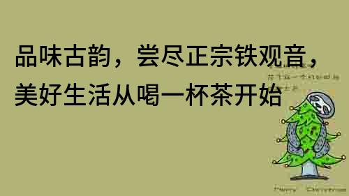 品味古韵，尝尽正宗铁观音，美好生活从喝一杯茶开始