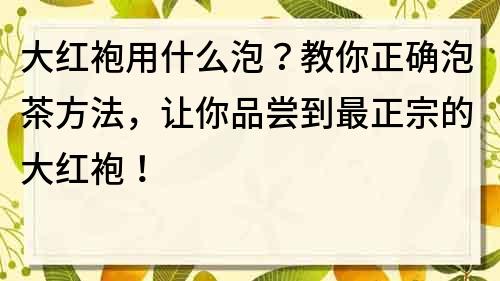 大红袍用什么泡？教你正确泡茶方法，让你品尝到最正宗的大红袍！