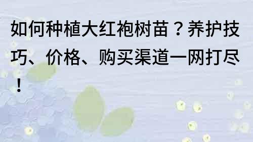 如何种植大红袍树苗？养护技巧、价格、购买渠道一网打尽！