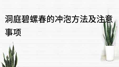 洞庭碧螺春的冲泡方法及注意事项