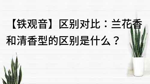 【铁观音】区别对比：兰花香和清香型的区别是什么？