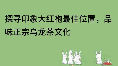 探寻印象大红袍最佳位置，品味正宗乌龙茶文化