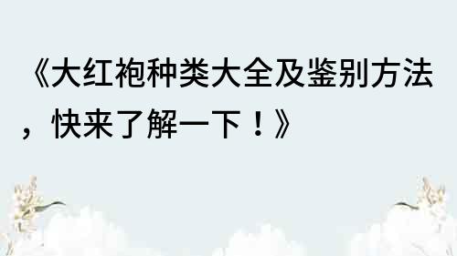 《大红袍种类大全及鉴别方法，快来了解一下！》