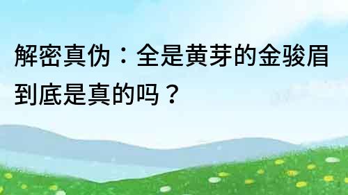 解密真伪：全是黄芽的金骏眉到底是真的吗？