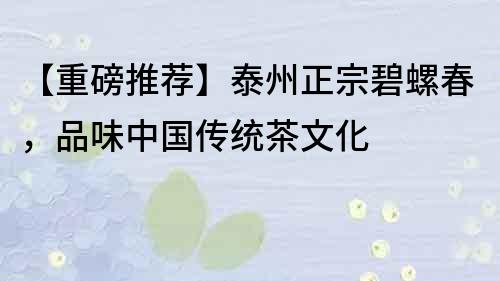 【重磅推荐】泰州正宗碧螺春，品味中国传统茶文化