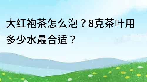 大红袍茶怎么泡？8克茶叶用多少水最合适？