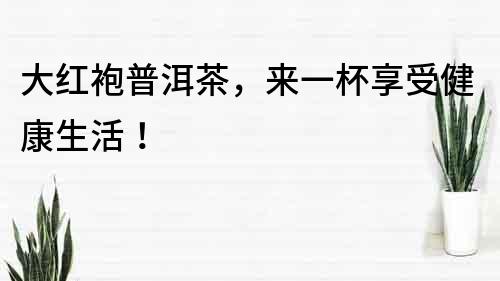 大红袍普洱茶，来一杯享受健康生活！