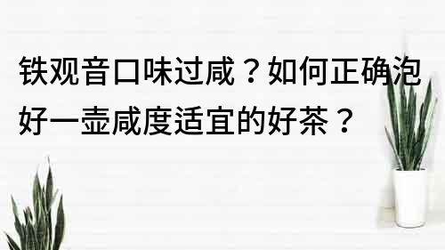 铁观音口味过咸？如何正确泡好一壶咸度适宜的好茶？