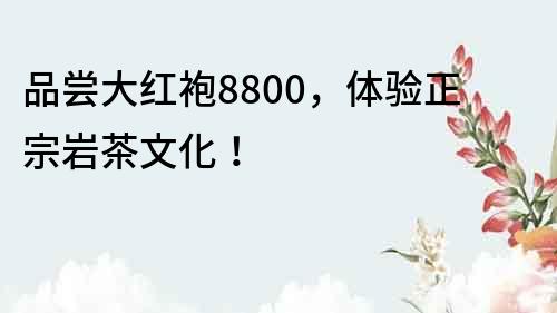 品尝大红袍8800，体验正宗岩茶文化！