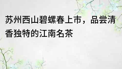 苏州西山碧螺春上市，品尝清香独特的江南名茶