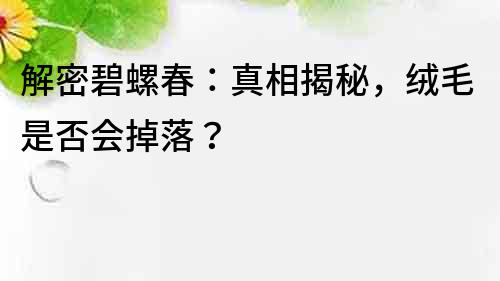 解密碧螺春：真相揭秘，绒毛是否会掉落？