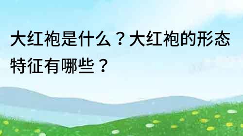 大红袍是什么？大红袍的形态特征有哪些？