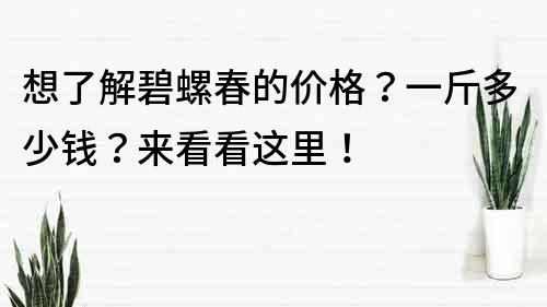 想了解碧螺春的价格？一斤多少钱？来看看这里！