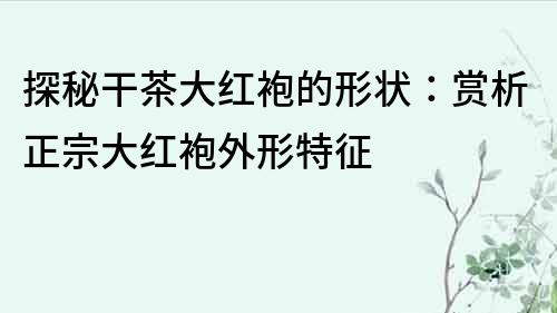 探秘干茶大红袍的形状：赏析正宗大红袍外形特征