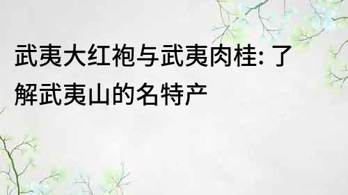 武夷大红袍与武夷肉桂: 了解武夷山的名特产