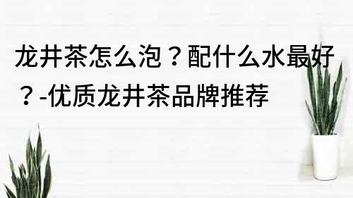 龙井茶怎么泡？配什么水最好？-优质龙井茶品牌推荐