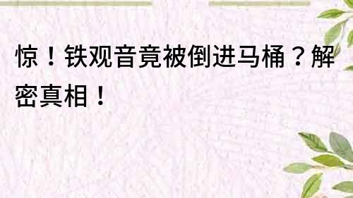 惊！铁观音竟被倒进马桶？解密真相！