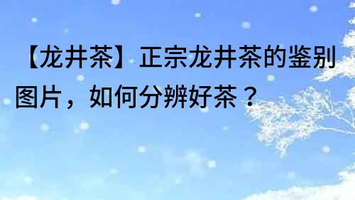 【龙井茶】正宗龙井茶的鉴别图片，如何分辨好茶？