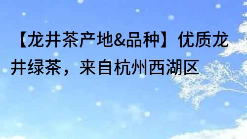 【龙井茶产地&品种】优质龙井绿茶，来自杭州西湖区