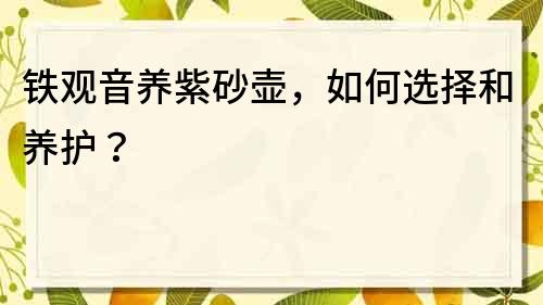 铁观音养紫砂壶，如何选择和养护？