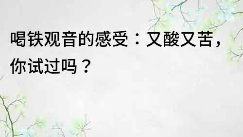 喝铁观音的感受：又酸又苦，你试过吗？