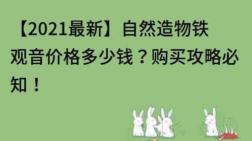 【2022最新】自然造物铁观音价格多少钱？购买攻略必知！