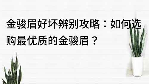 金骏眉好坏辨别攻略：如何选购最优质的金骏眉？