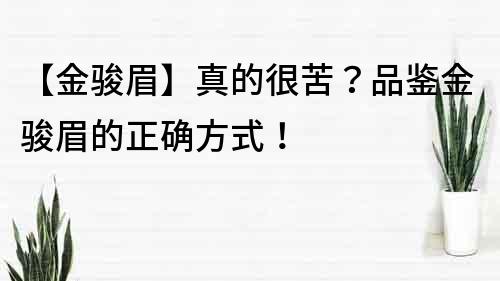 【金骏眉】真的很苦？品鉴金骏眉的正确方式！