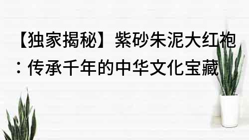 【独家揭秘】紫砂朱泥大红袍：传承千年的中华文化宝藏