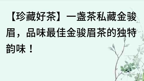 【珍藏好茶】一盏茶私藏金骏眉，品味最佳金骏眉茶的独特韵味！