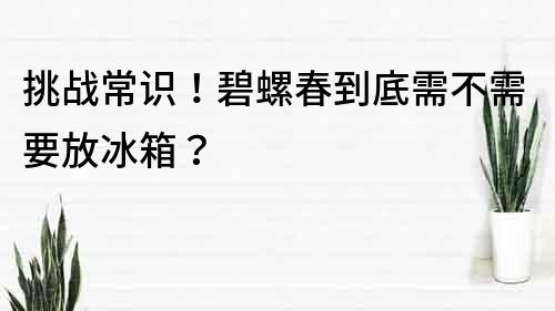 挑战常识！碧螺春到底需不需要放冰箱？