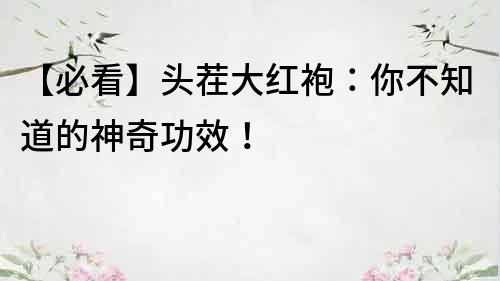 【必看】头茬大红袍：你不知道的神奇功效！