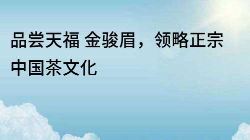 品尝天福 金骏眉，领略正宗中国茶文化