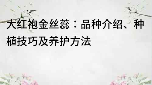 大红袍金丝蕊：品种介绍、种植技巧及养护方法