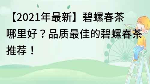 【2021年最新】碧螺春茶哪里好？品质最佳的碧螺春茶推荐！