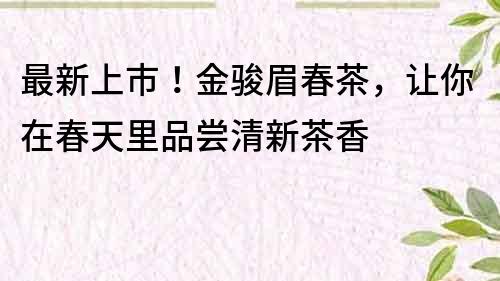 最新上市！金骏眉春茶，让你在春天里品尝清新茶香