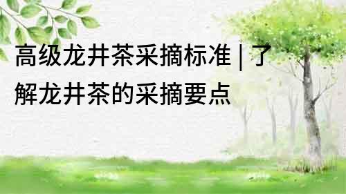 高级龙井茶采摘标准 | 了解龙井茶的采摘要点