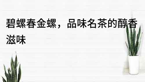 碧螺春金螺，品味名茶的醇香滋味