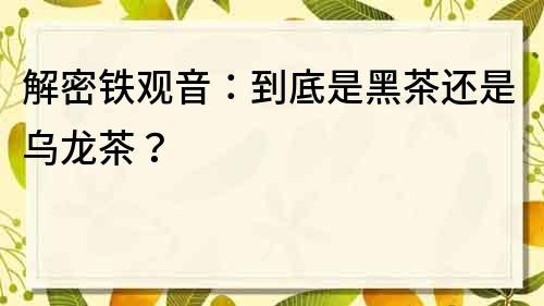 解密铁观音：到底是黑茶还是乌龙茶？